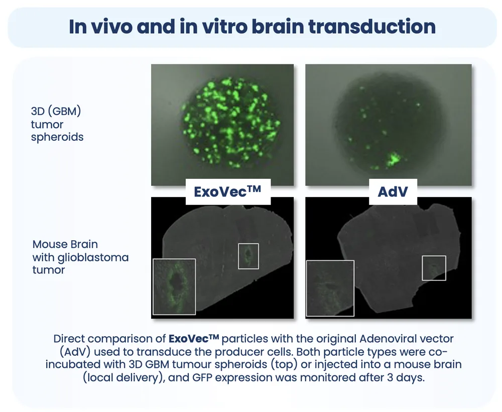 Preclinical data visual 1