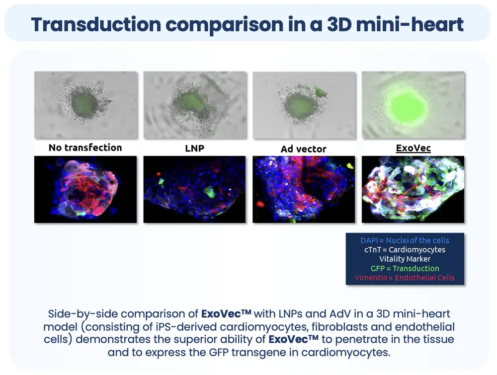 Preclinical data visual 2